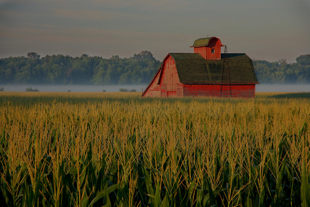 farm and crop insurance Blythe CA
